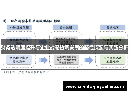 财务透明度提升与企业战略协调发展的路径探索与实践分析 财务透明度提升与企业战略协调发展的路径探索与实践分析
