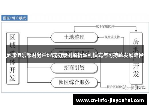 足球俱乐部财务管理成功案例解析盈利模式与可持续发展路径