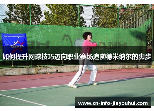 如何提升网球技巧迈向职业赛场追随德米纳尔的脚步