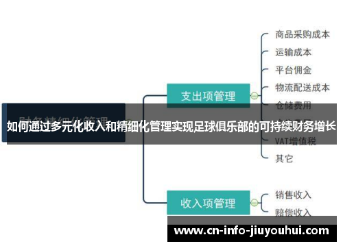 如何通过多元化收入和精细化管理实现足球俱乐部的可持续财务增长